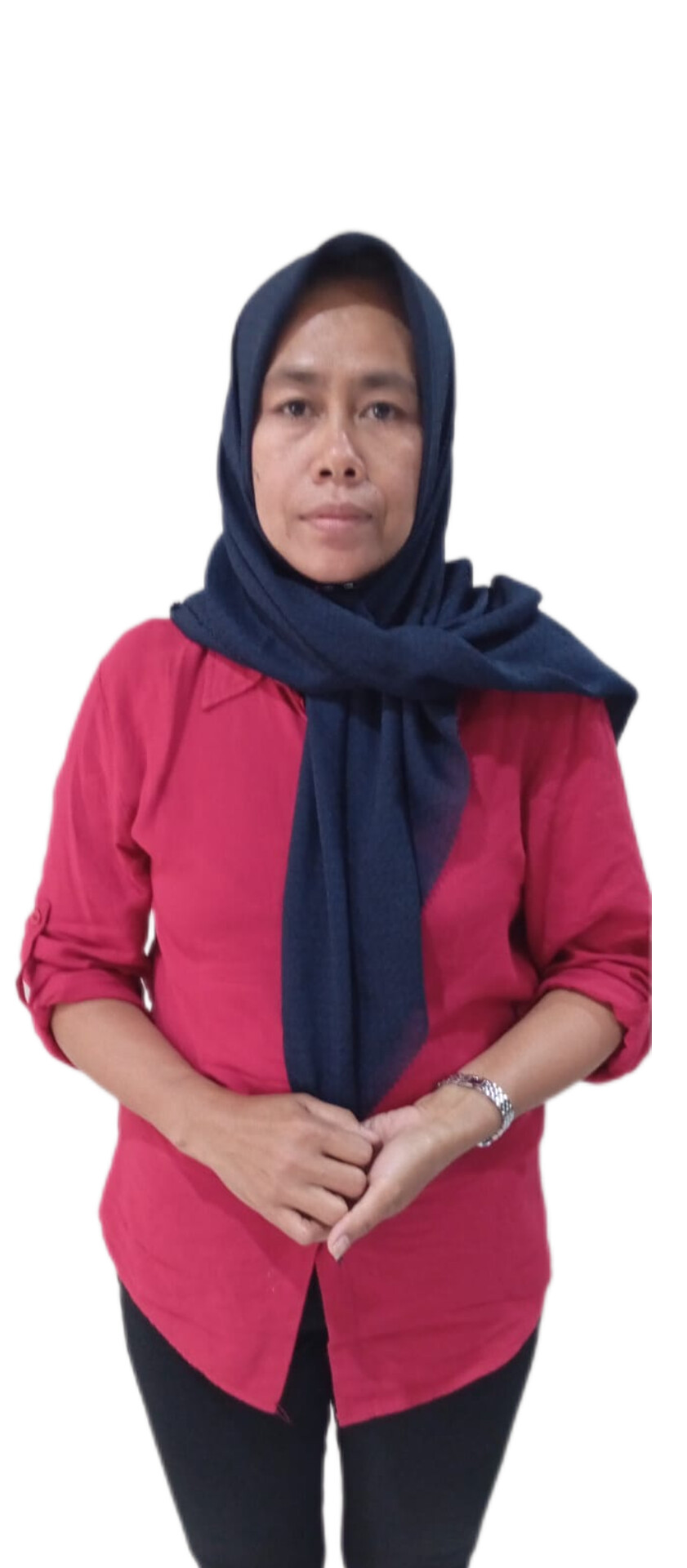 Ani bibin